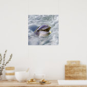 De beste glimlach van een dolfijn poster (Keuken)