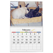 DE BESTE KEREN IN DE WERELD KALENDER (Feb 2026)