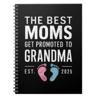 De Beste Moeders Worden Gepromoveerd Tot Oma Est 2