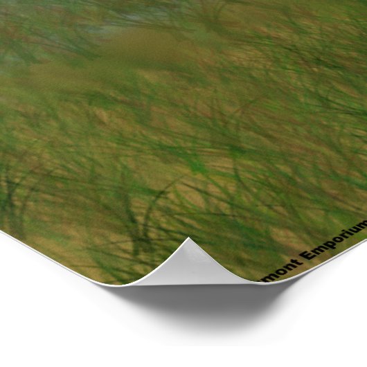 De beste omzet poster (Hoek)