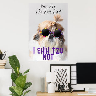 De Beste vader Shih Tzu Niet schattige grappige ho Poster
