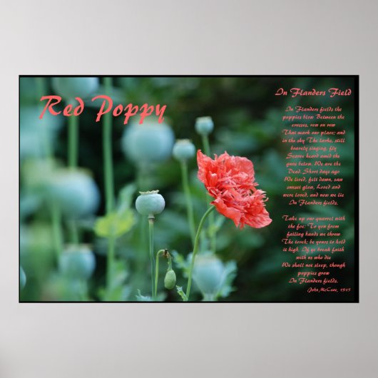 De betekenis van de Rode Poppy Poster (Voorkant)