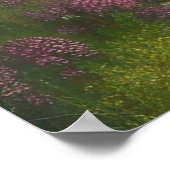 De betoverde Bossen Poster (Hoek)