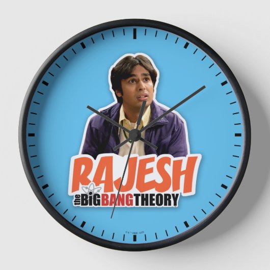 De Big Bang Theory | Rajesh (Voorkant)