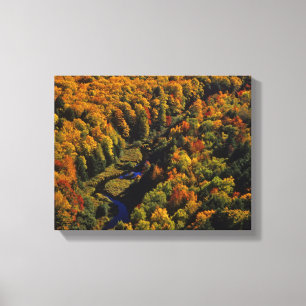 De Big Carp-rivier in de herfst bij Porcupine Canvas Afdruk