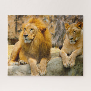 De Big Cats Lions. Legpuzzel