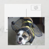 De Bij van de buldog Briefkaart (Voorkant / Achterkant)