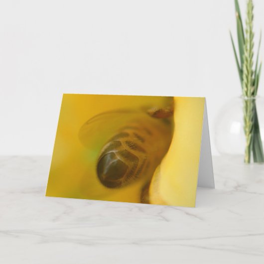 De Bij van de honing Kaart (Voorkant)