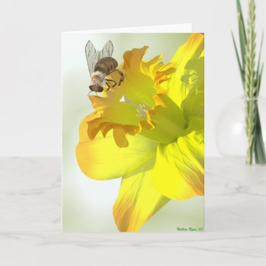 De Bij van de lente Kaart (Voorkant)