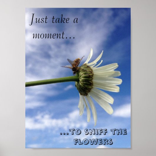 De bijenbloem poster (Voorkant)