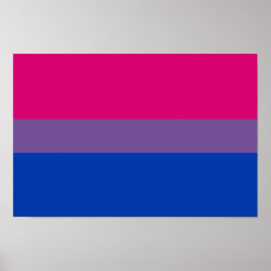 De biseksuele Vlag van de Trots Poster