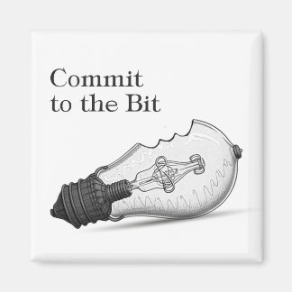 De bitmagneet magneet