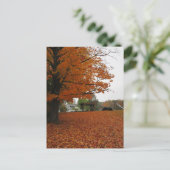 De bladeren vallen briefkaart af (Staand voorkant)