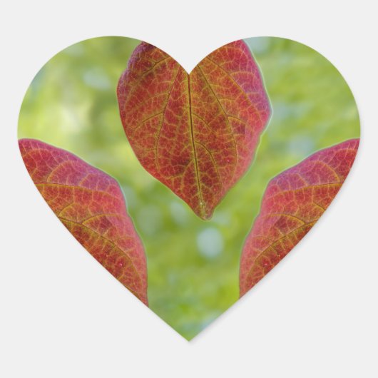 De bladeren van de liefde van natuur hart sticker (Voorkant)