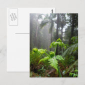 De Bladeren van het regenwoud met het Briefkaart (Voorkant / Achterkant)