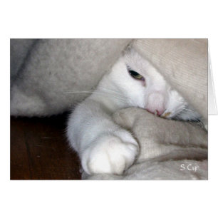 De Blanket Game, S Cyr