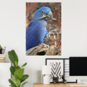 De blauwdruk poster (Thuiskantoor)