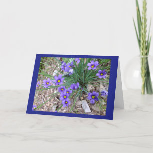 De blauwe Eyed Kaart van de Nota van het Gras Lege