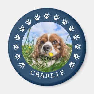 De blauwe Foto van het Huisdier van het Lijst van Magneet