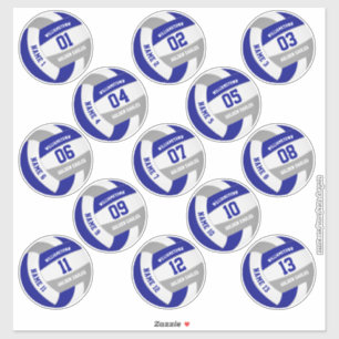 de blauwe grijze schoolkleuren volleybalspelers no sticker