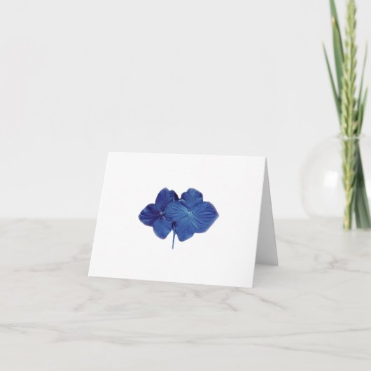 De blauwe kaart van de hydrangea hortensianota (Voorkant)