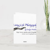 De blauwe Kaart van de Nota van de Iris Lege (Achterkant)