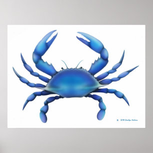 De blauwe krab afdrukken poster