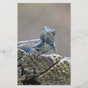 De blauwe KrokodilleHagedis van de Buik Briefpapier