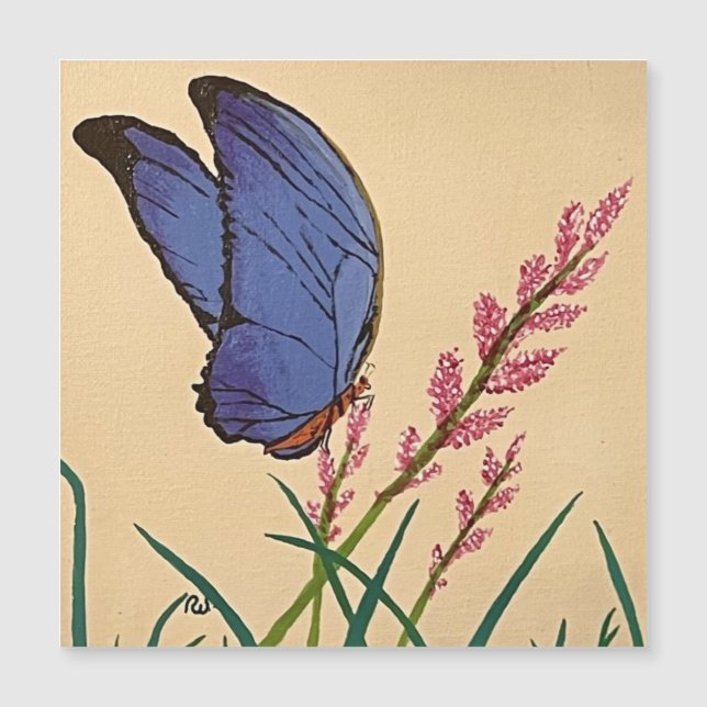 De blauwe Morpho-vlinder (Voorkant)