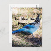 De blauwe vogel van geluk briefkaart (Voorkant / Achterkant)