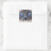 De blauwogige kat vierkante sticker (Tas)
