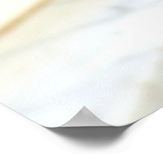 De blik poster (Hoek)