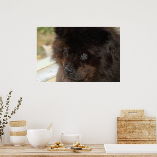 De blik poster (Keuken)