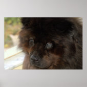 De blik poster (Voorkant)