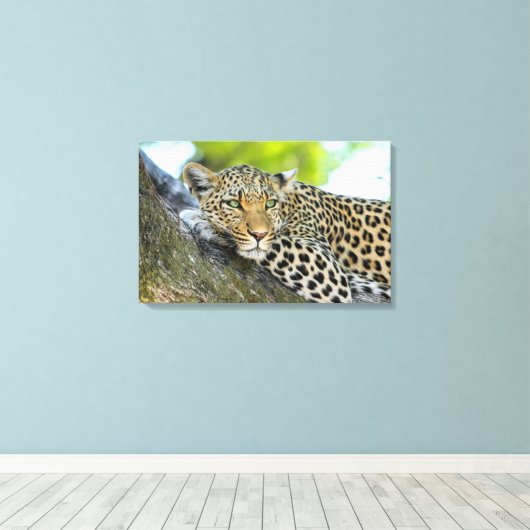 De blik van een luipaard canvas afdruk (Insitu (Houten vloer))