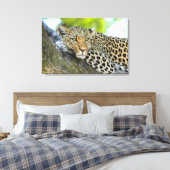 De blik van een luipaard canvas afdruk (Insitu (Slaapkamer))