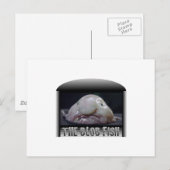 De blob vis briefkaart (Voorkant / Achterkant)