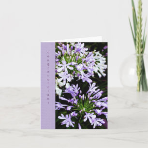 De Bloei van Agapanthus Kaart