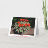 De Bloei van de Cactus van Firery Kaart (Achterkant)