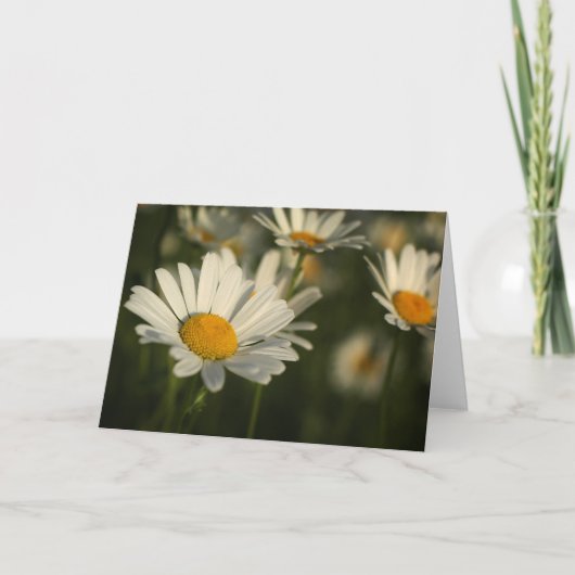 De Bloei van de lente Kaart (Voorkant)