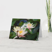 De bloem en het betekenen van Lotus