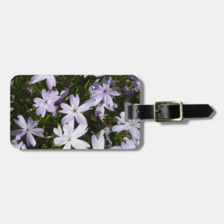 De bloem van de flox bagagelabel