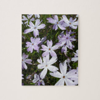 De bloem van de flox legpuzzel