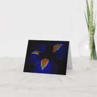 De bloem van de iris - Frankrijk en het betekenen