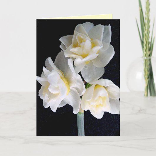 De Bloem van de jonquille - 3:1 Ecclesiastes Kaart (Voorkant)