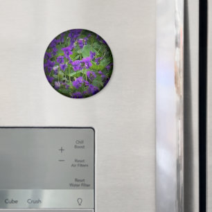 De Bloem van de staat Wisconsin: Houten Violet sch Magneet