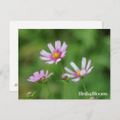 De Bloemen van de kosmos Briefkaart (Voorkant / Achterkant)
