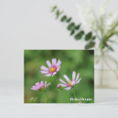 De Bloemen van de kosmos Briefkaart (Staand voorkant)