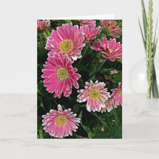 De Bloemen van Gerbera Kaart (Voorkant)
