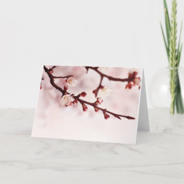 De Bloesem van de kers Kaart